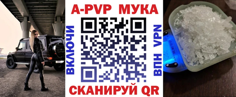 закладки  Владимир  Alfa_PVP СК КРИС 