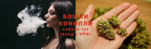 ГАЛЛЮЦИНОГЕННЫЕ ГРИБЫ Волоколамск