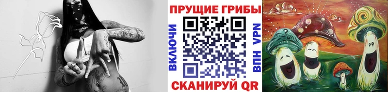 omg ТОР  Владимир  Псилоцибиновые грибы ЛСД  где продают  
